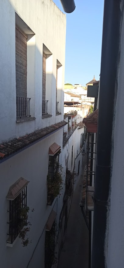 Dirección, horario, teléfono y opiniones de Hnos. Acosa Arana en Jerez de la Frontera