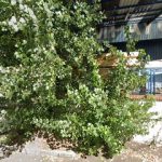 Dirección, horario, teléfono y opiniones de Maderas Sampayo en Ourense